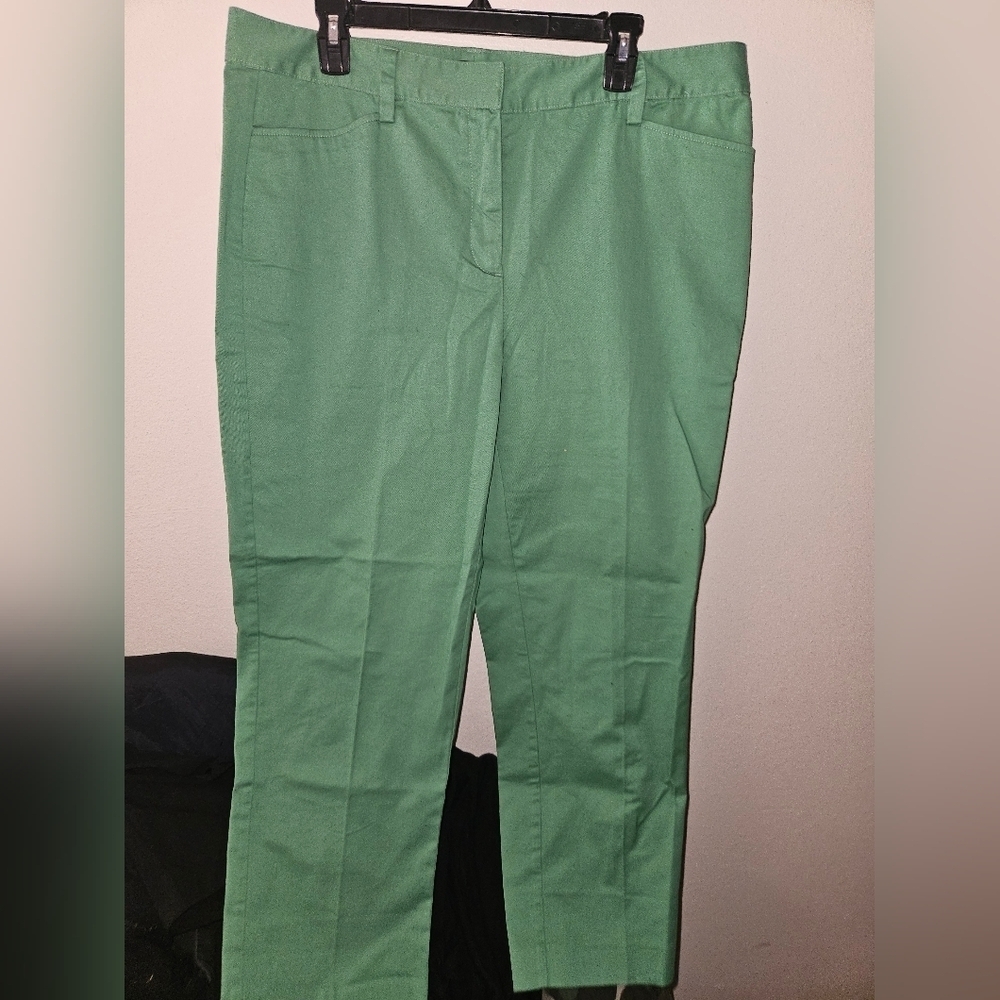Lands End Womans Green Mid Rise Slim Leg Pants Size 16T